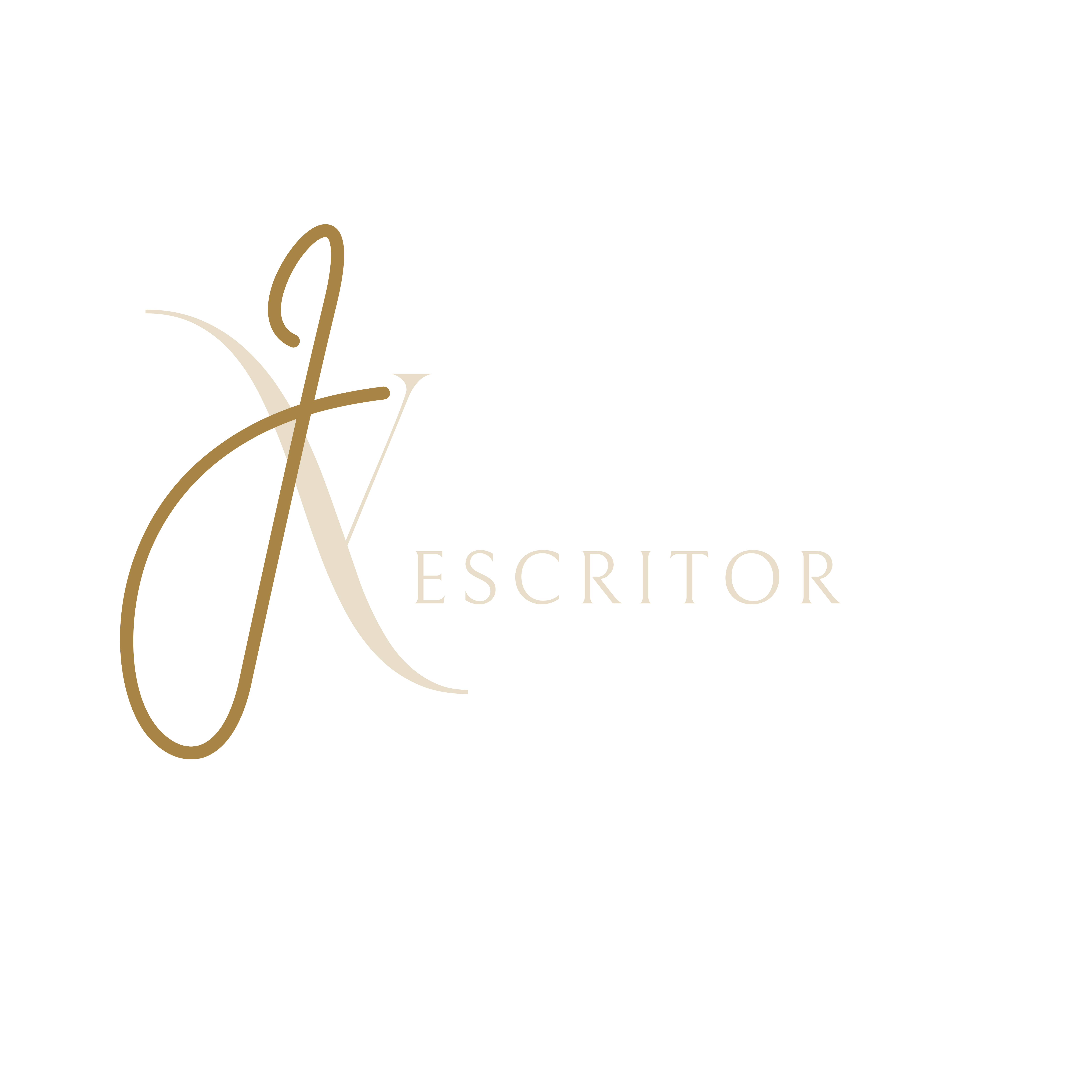Escritor João Vieira